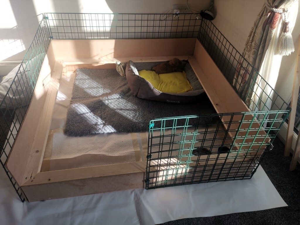 whelping box gumtree